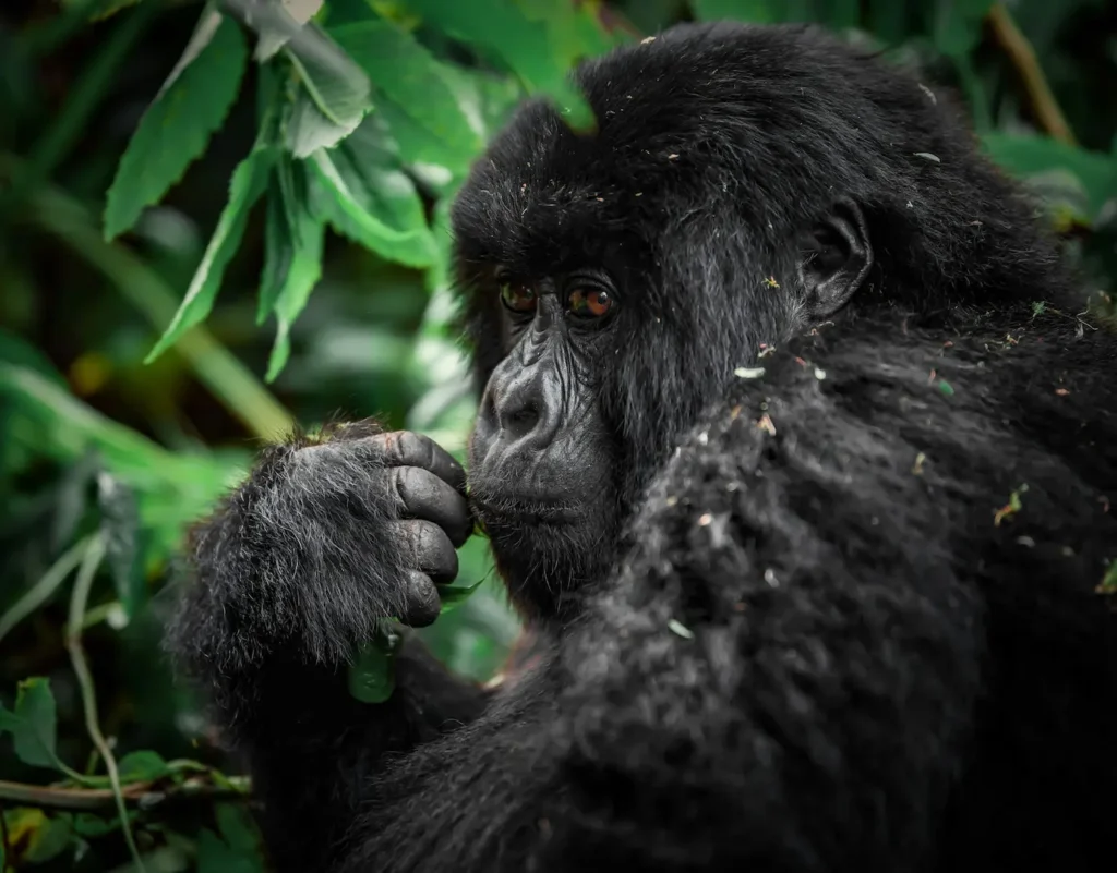 10 Most Breathtaking Natural Wonders in Africa 21 natural attractions in africa