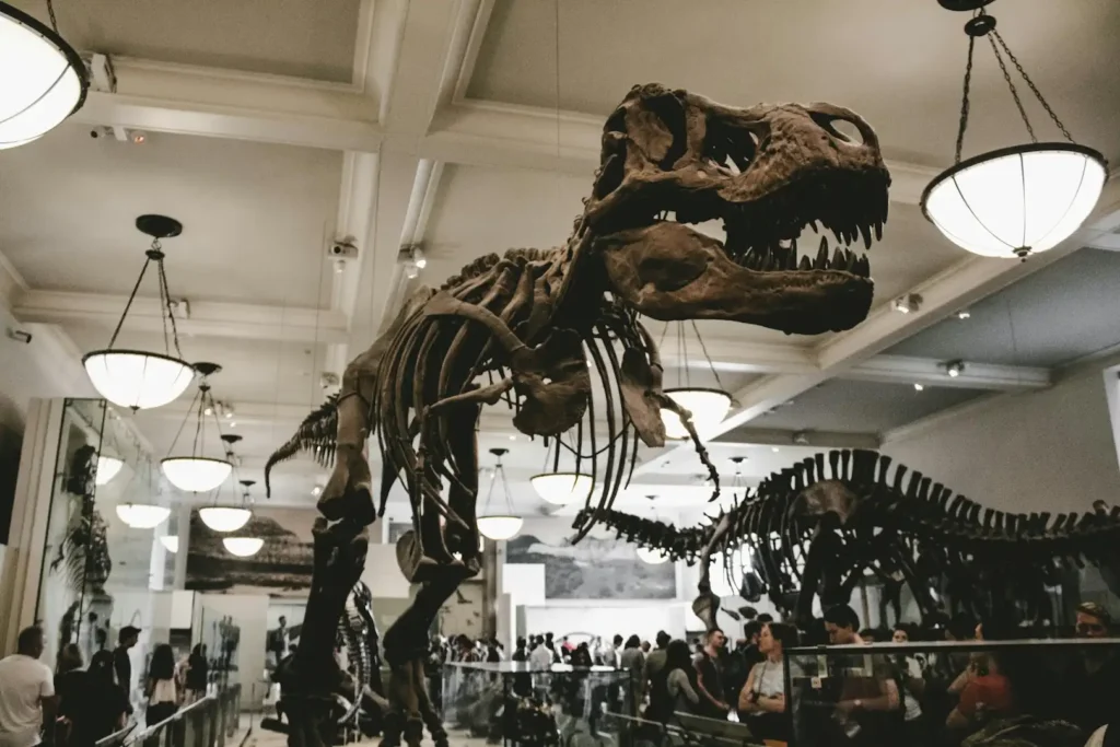20 Best Things to Do in New York City with Kids 9 things to do in new york