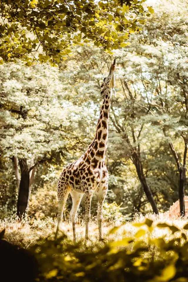 20 Best Things to Do in New York City with Kids 14 things to do in nyc