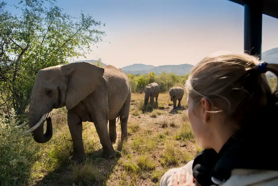 12 Essential Travel Tips Before Visiting South Africa 8 Viaje a Lagos