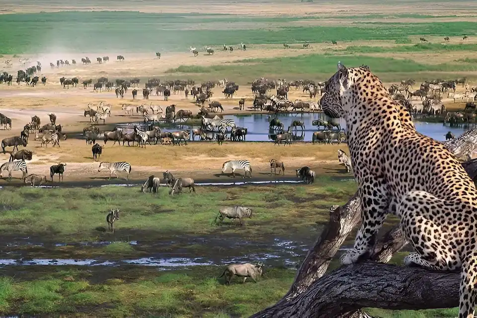 ngorongoro crater