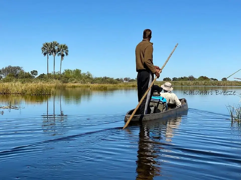 okavango delta