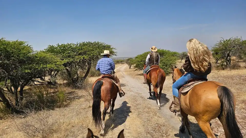 tours san miguel de allende