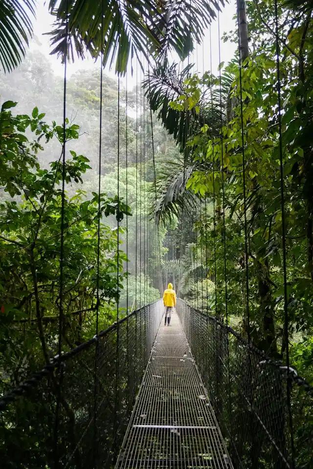The 12 best places to visit in November 2025 35 costa rica