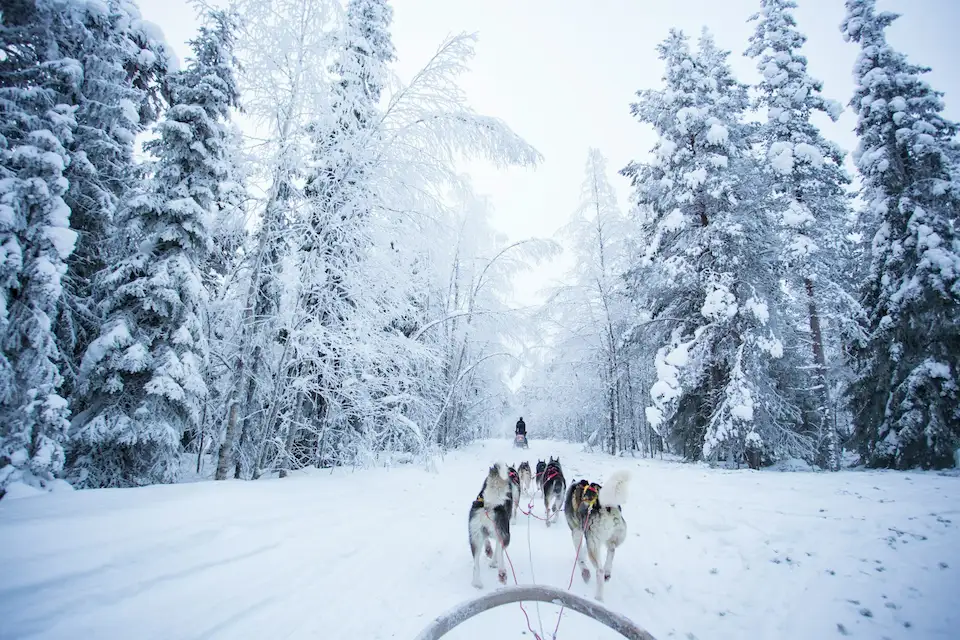 The Most Magical Christmas Destinations Around the World 8 Rovaniemi