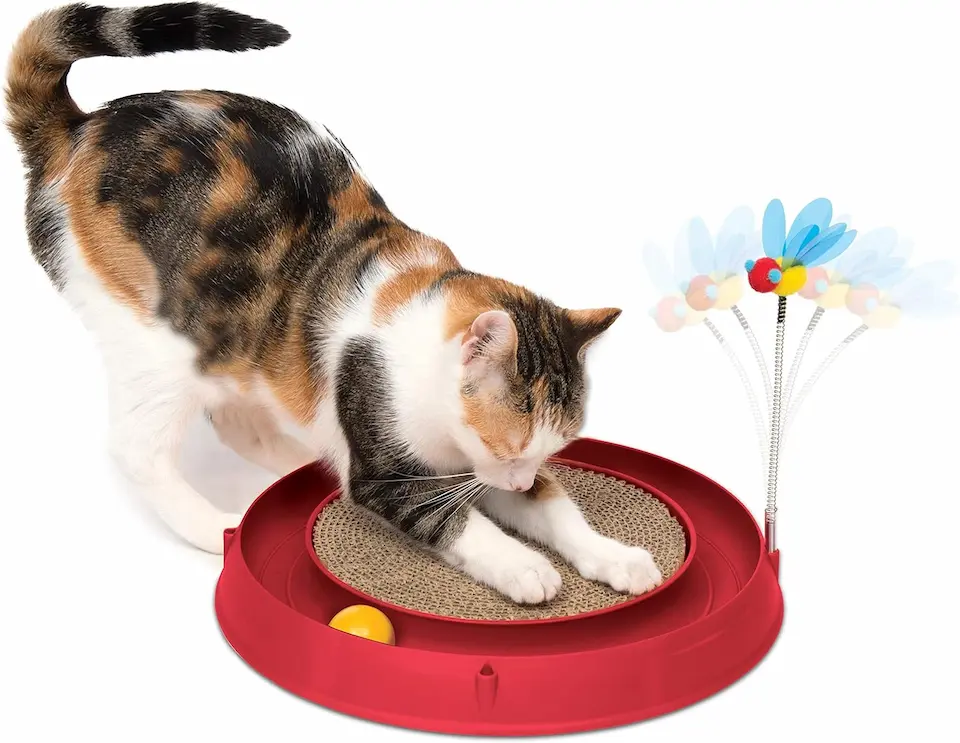 10 Best Cat Toys That Will Keep Your Kitty Busy for Hours 10 cat accessories