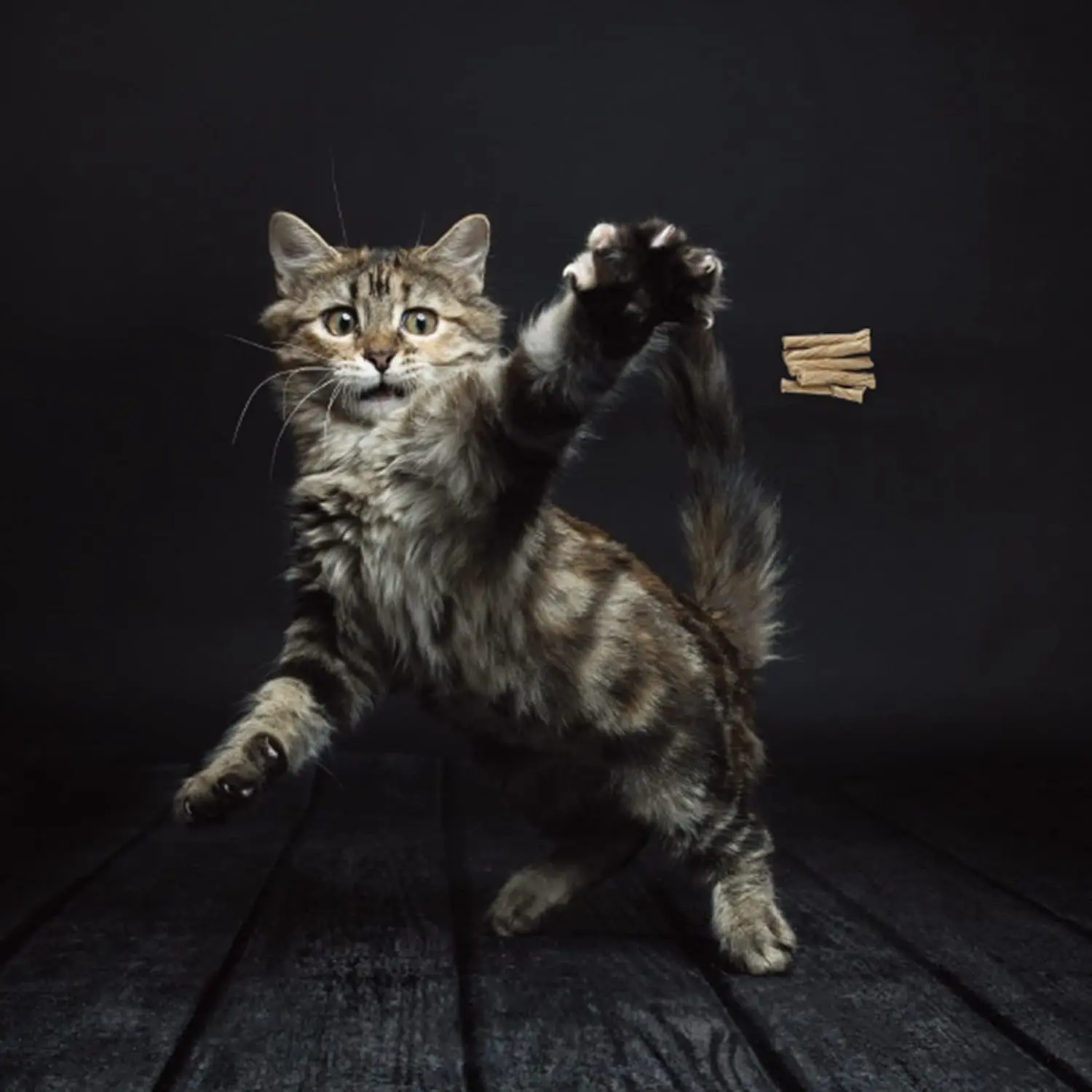 10 Best Cat Toys That Will Keep Your Kitty Busy for Hours 11 cat toys amazon