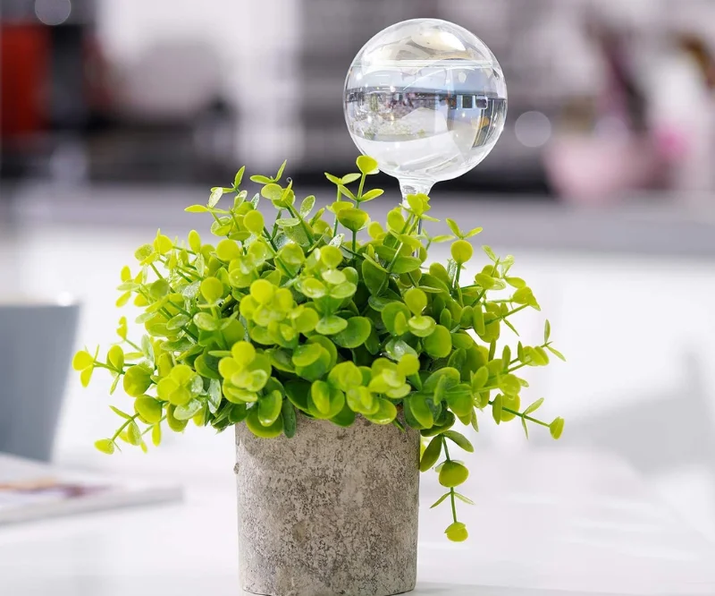 self watering bulbs for plants