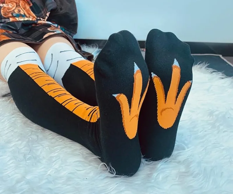 chicken leg socks