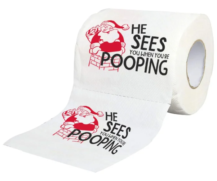 christmas craft from toilet rolls