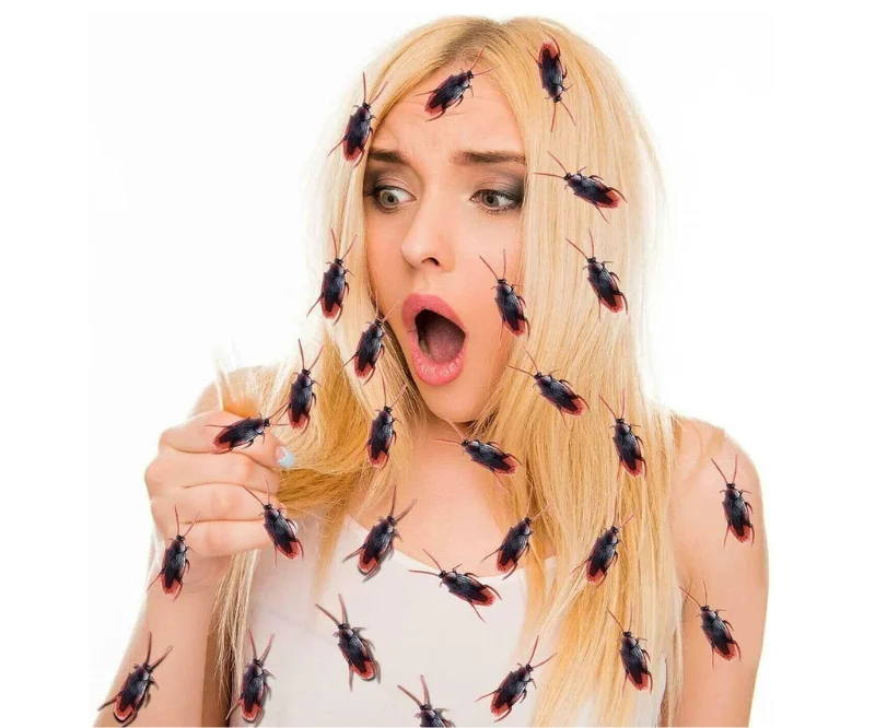 fake cockroaches