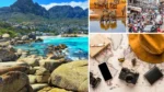 12 Essential Travel Tips Before Visiting South Africa 16 essential travel tips