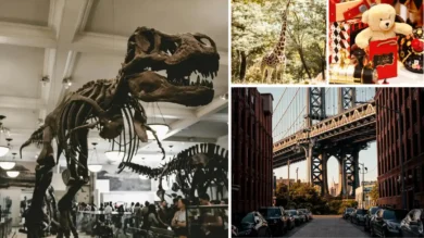 20 Best Things to Do in New York City with Kids 24 fun things to do in nyc
