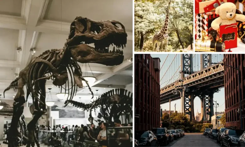 fun things to do in nyc