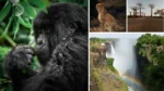 10 Most Breathtaking Natural Wonders in Africa 313 seven natural wonders of africa