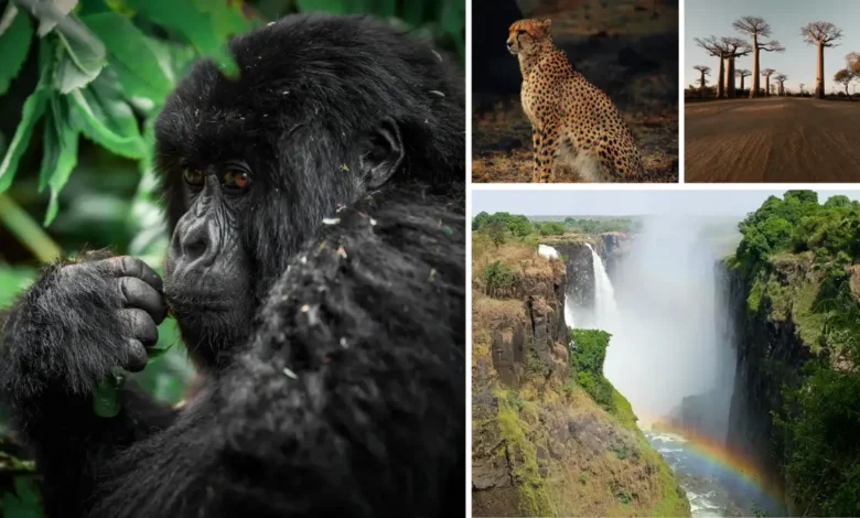 seven natural wonders of africa
