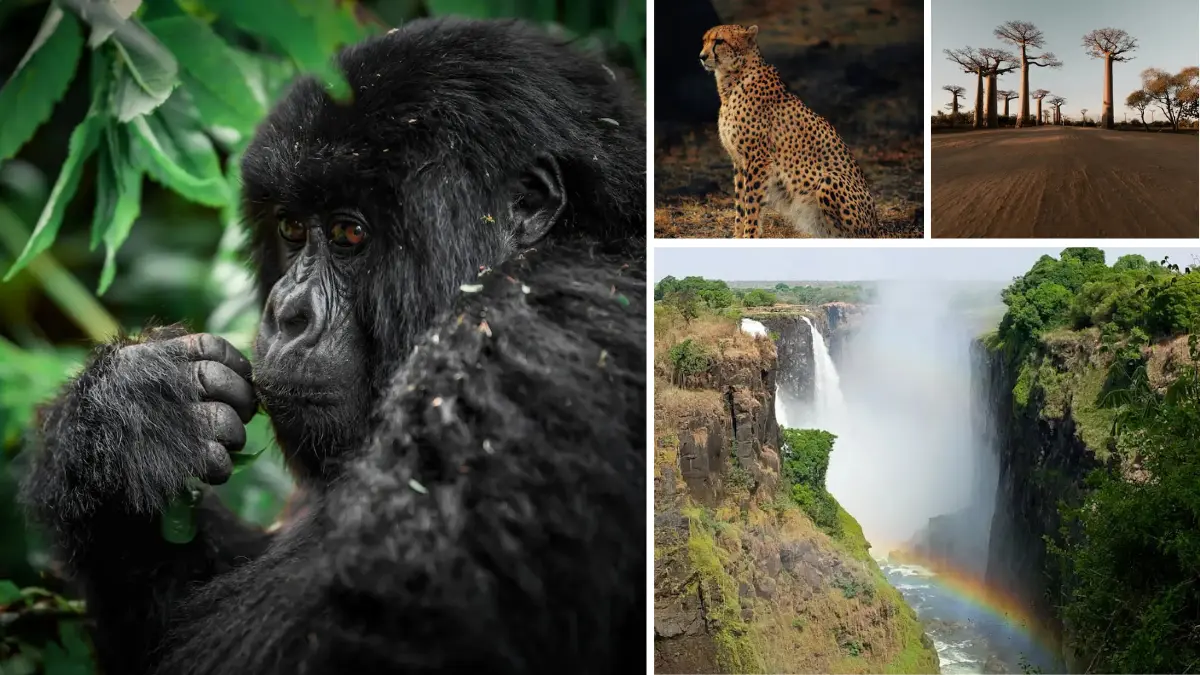 seven natural wonders of africa