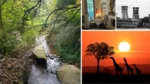 18 Safe Things to Do in Johannesburg as a Solo Traveler 312 things to do in jhb