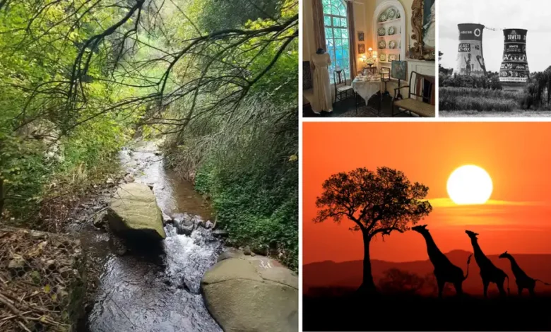things to do in jhb