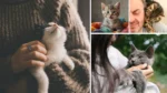 20 Signs Your Cat Loves You (Backed by Behavior Experts) 18 Signs Your Cat Loves You