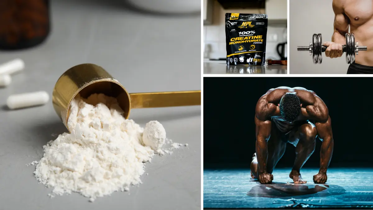 10+ Real Benefits of Creatine I've Experienced After 8 Years 7 creatine