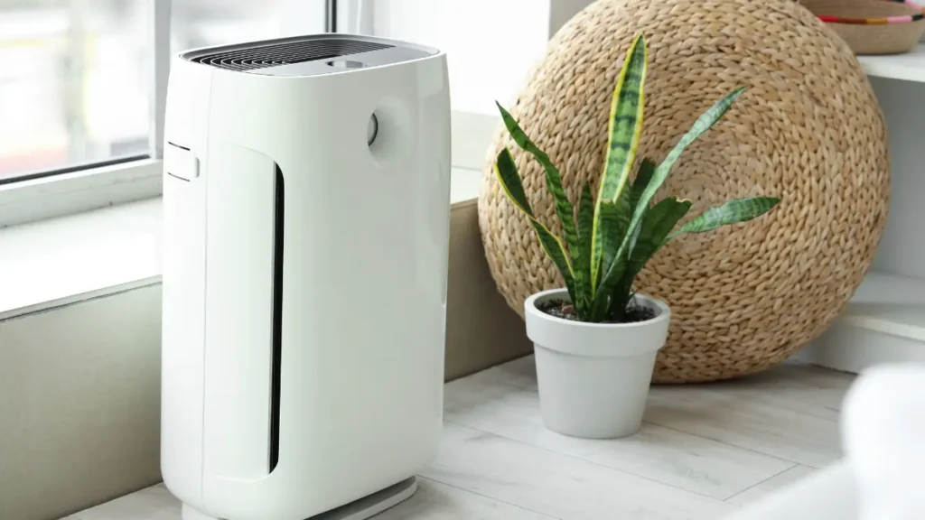 Air Purifier 1 Air Purifier