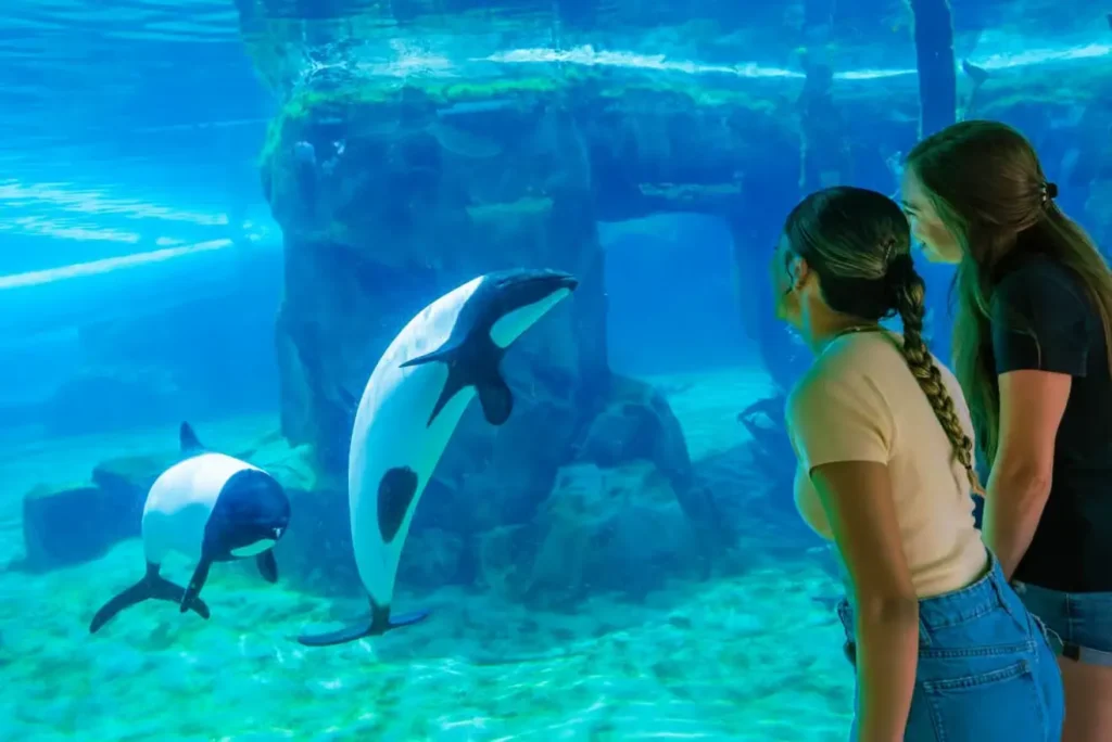 SeaWorld Orlando