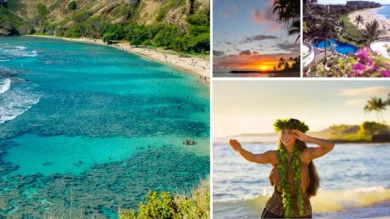 hawaii travel