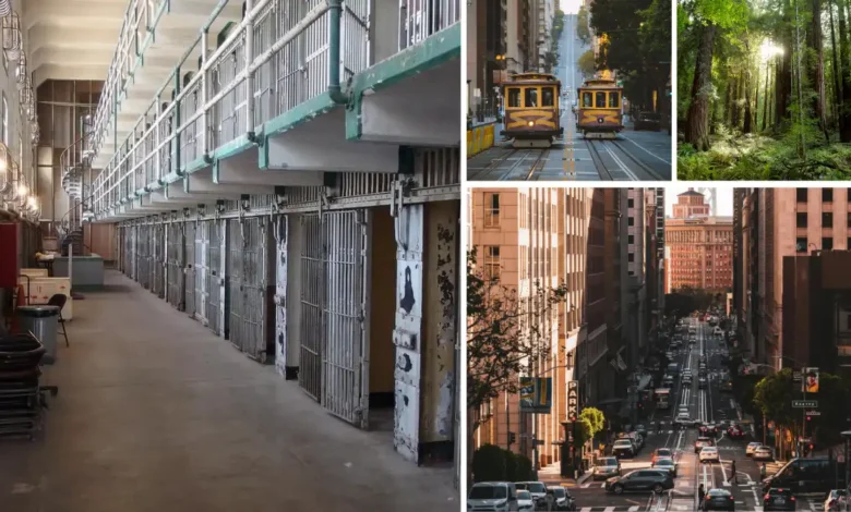 things to do in san francisco