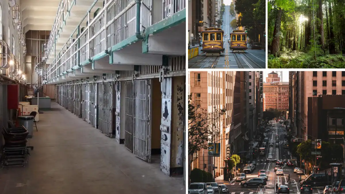 things to do in san francisco