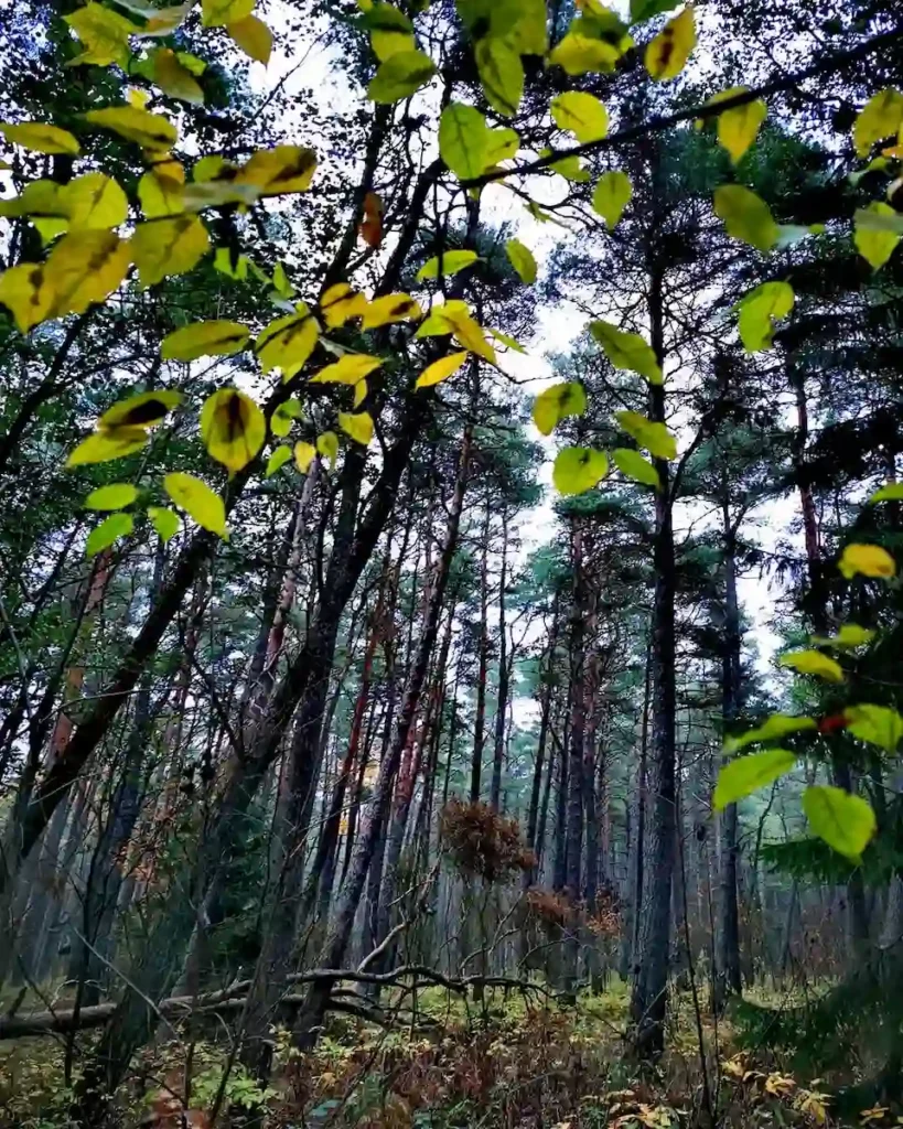 cool places to visit cool places to visit