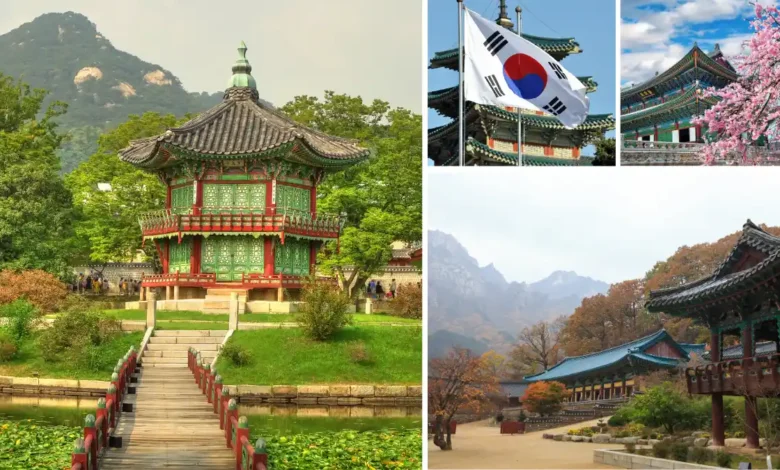 south korea travel