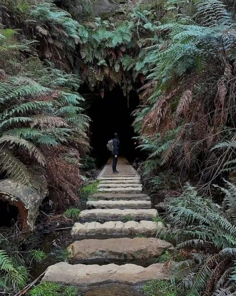 tourist attractions tourist attractions