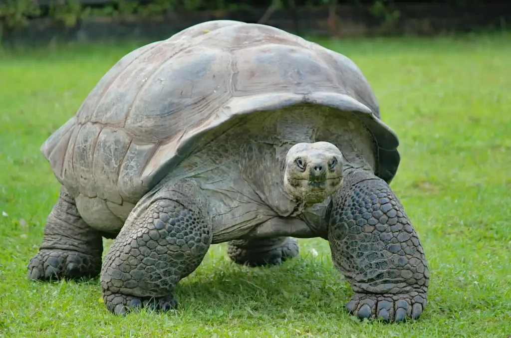 galapagos island tour