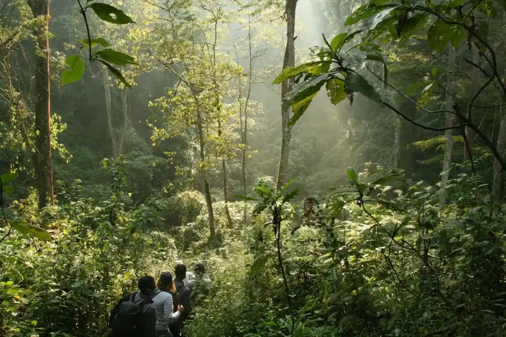 uganda honeymoon
