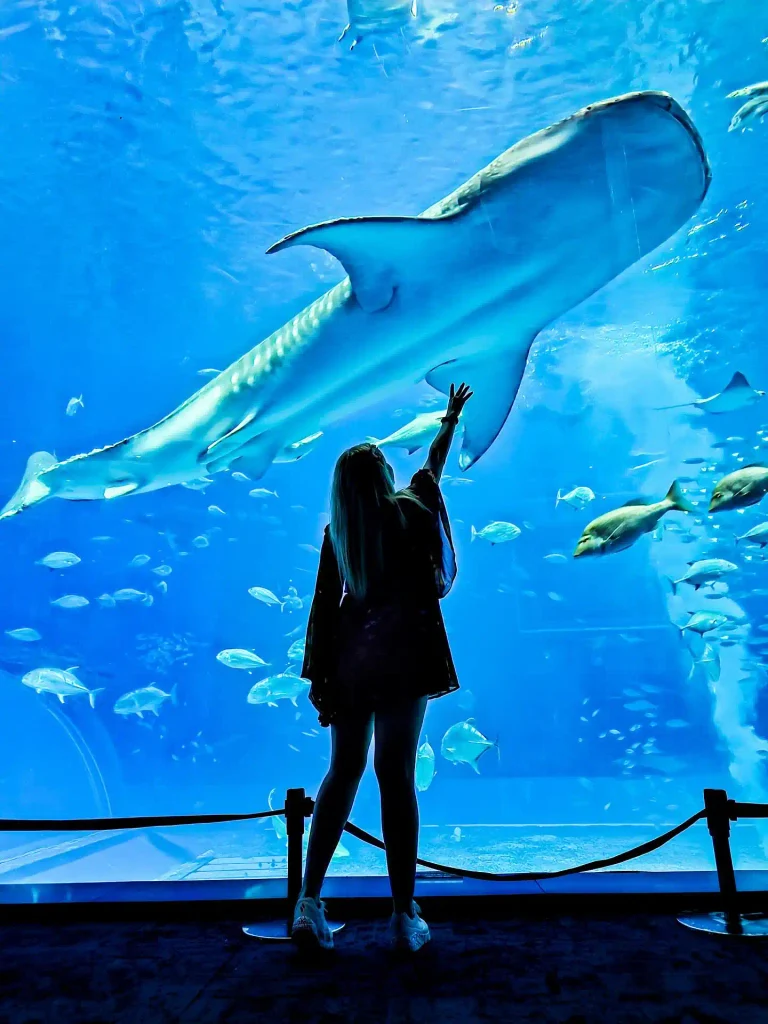 Osaka Aquarium Kaiyukan 768x1024 1 Osaka Aquarium Kaiyukan 768x1024 1