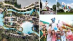 Where to Stay at Disney World Where to Stay at Disney World