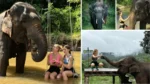 best things to do in chiang mai