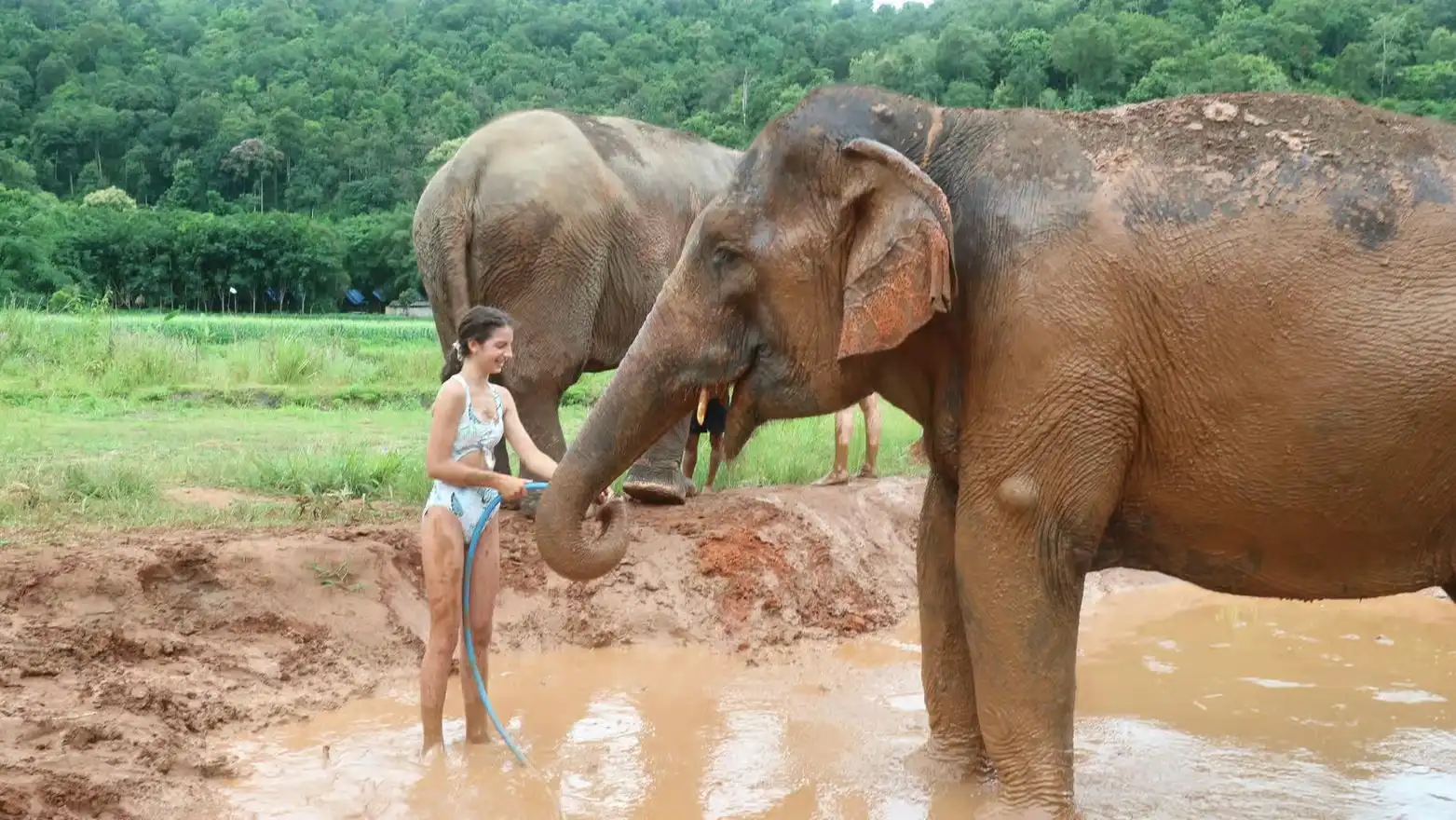 best things to do in chiang mai 2 best things to do in chiang mai 2