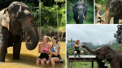 best things to do in chiang mai best things to do in chiang mai