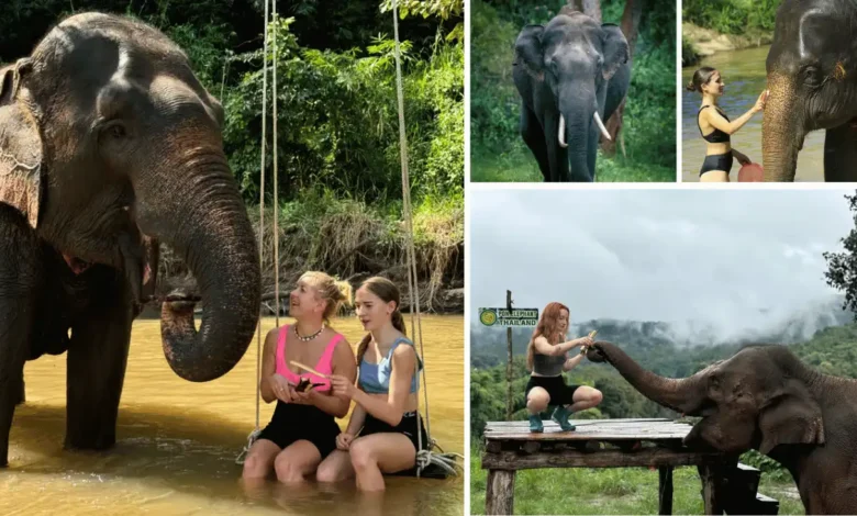 best things to do in chiang mai