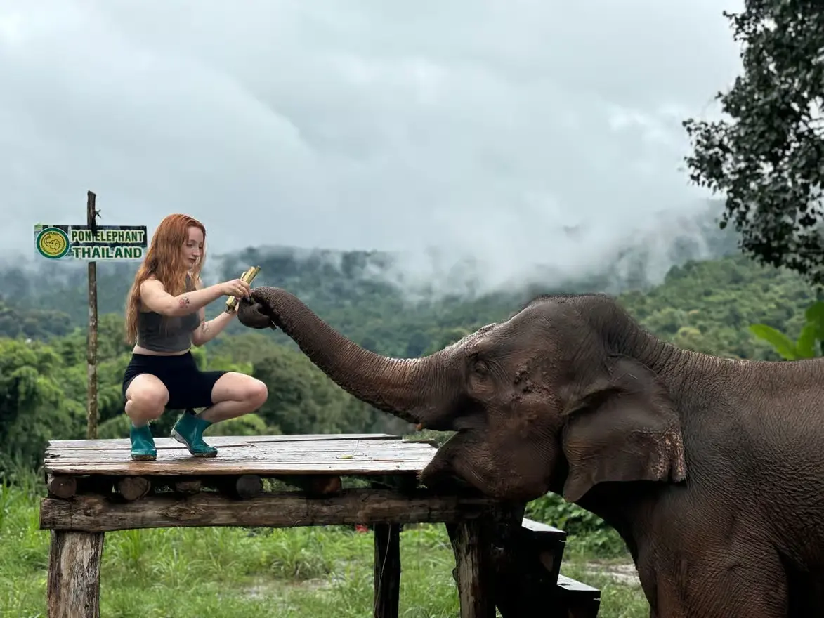 things to do in chiang mai 1 things to do in chiang mai 1