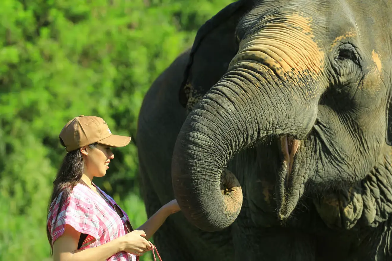 things to do in chiang mai 4 things to do in chiang mai 4