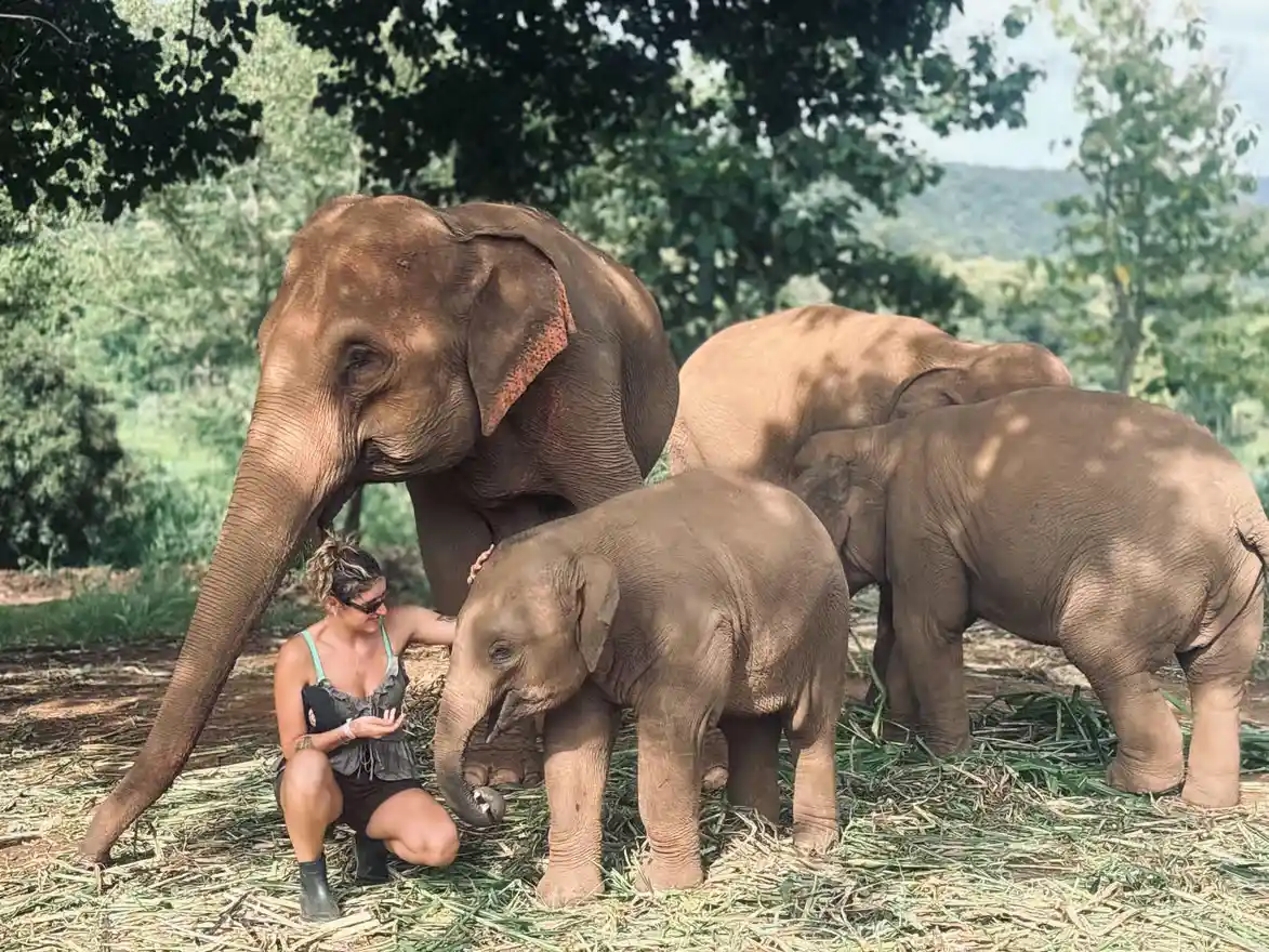 unique things to do in chiang mai unique things to do in chiang mai