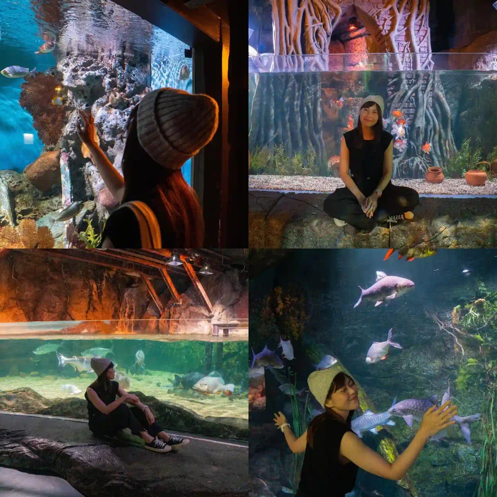 Sea Life Bangkok Ocean World Sea Life Bangkok Ocean World