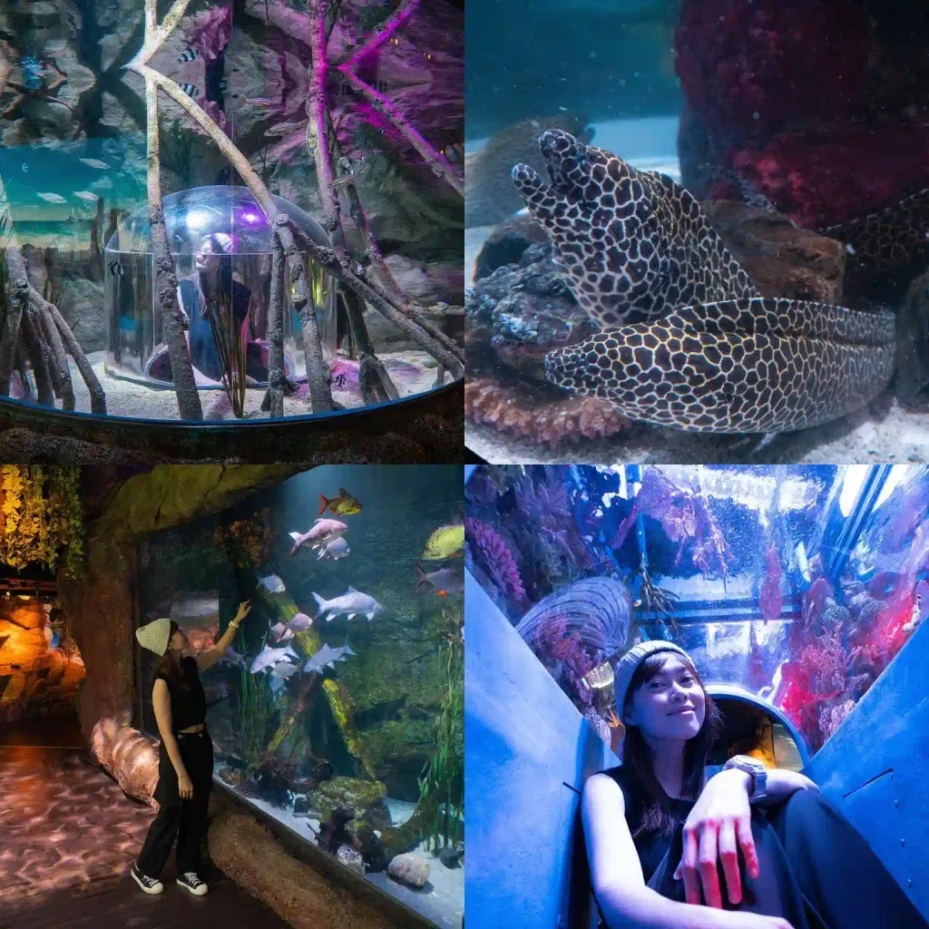 Sea Life Bangkok Ocean World itinerary Sea Life Bangkok Ocean World itinerary