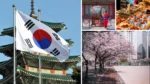 South Korea Travel Truths