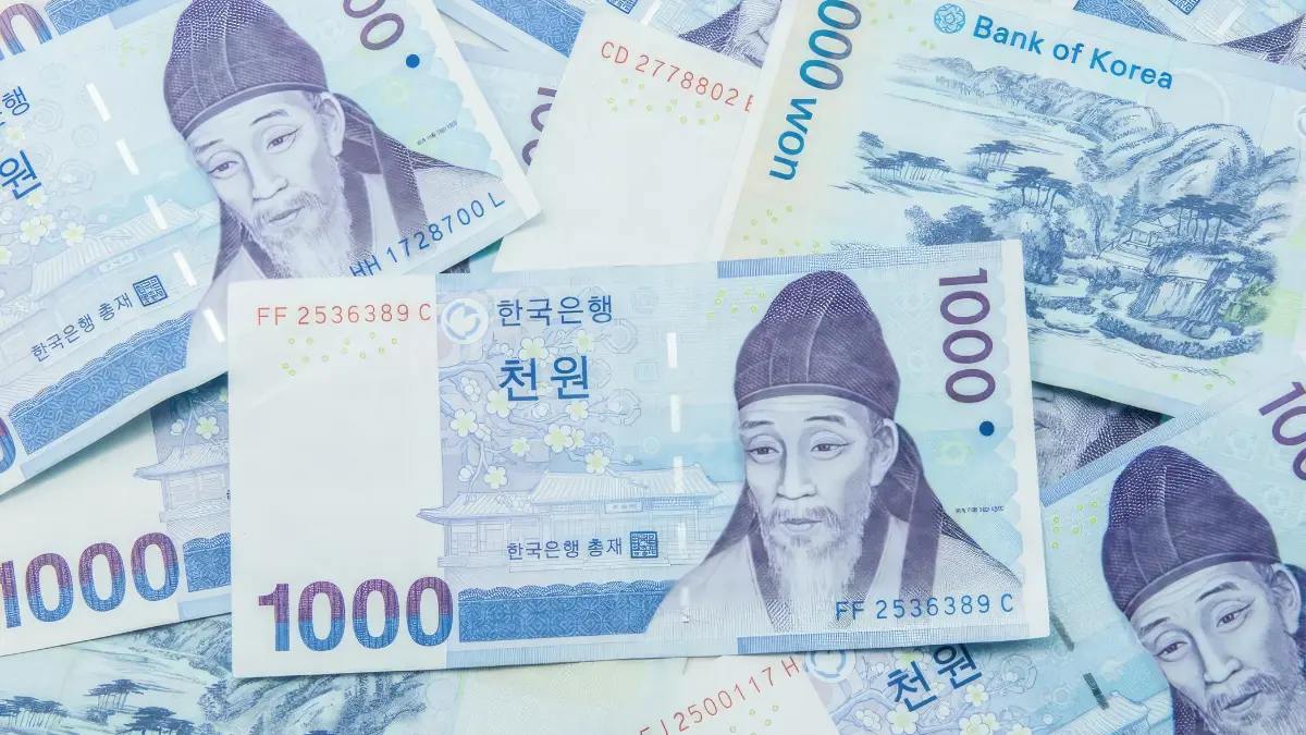 money korean travel