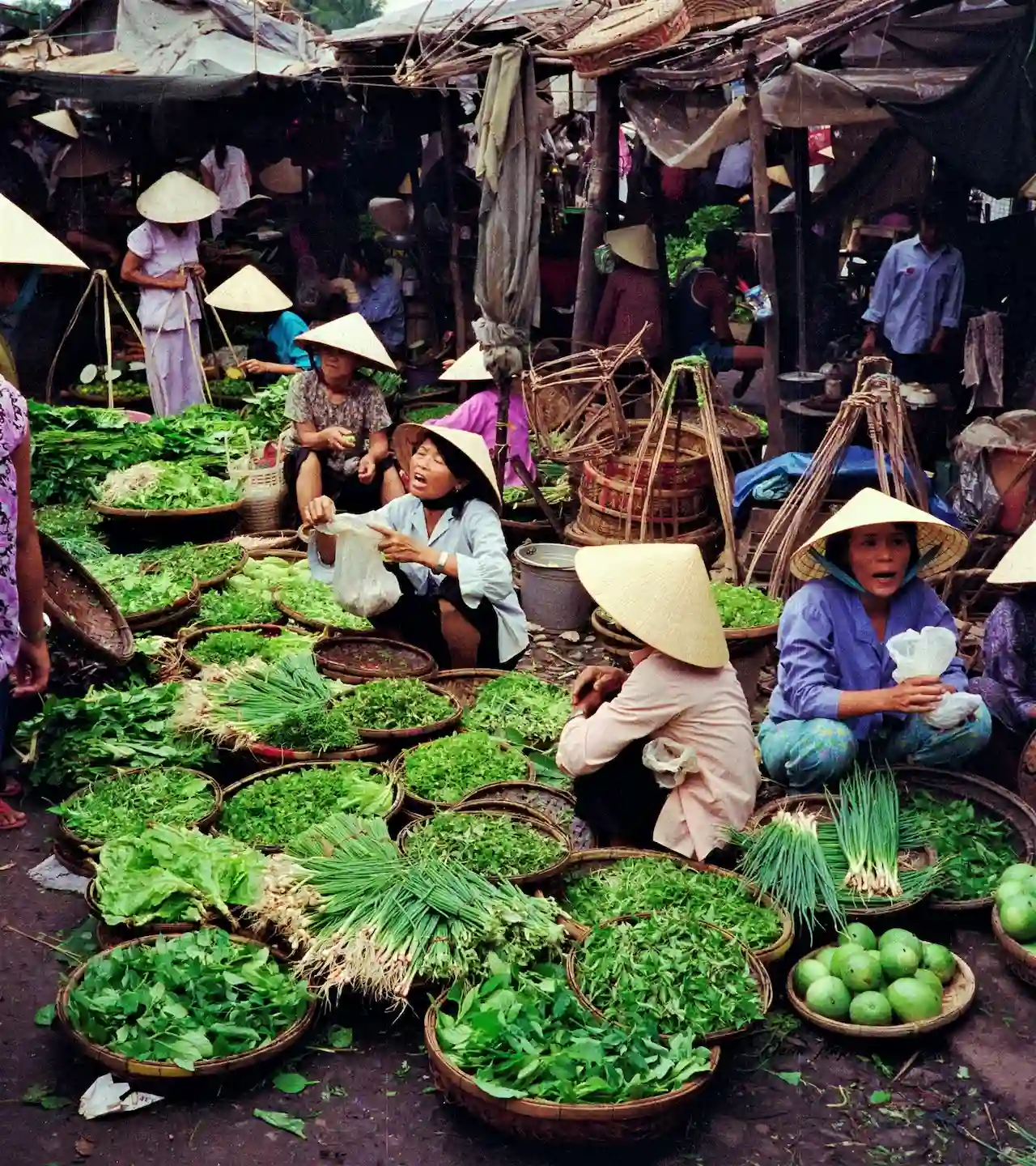 vietnam travel guide vietnam travel guide